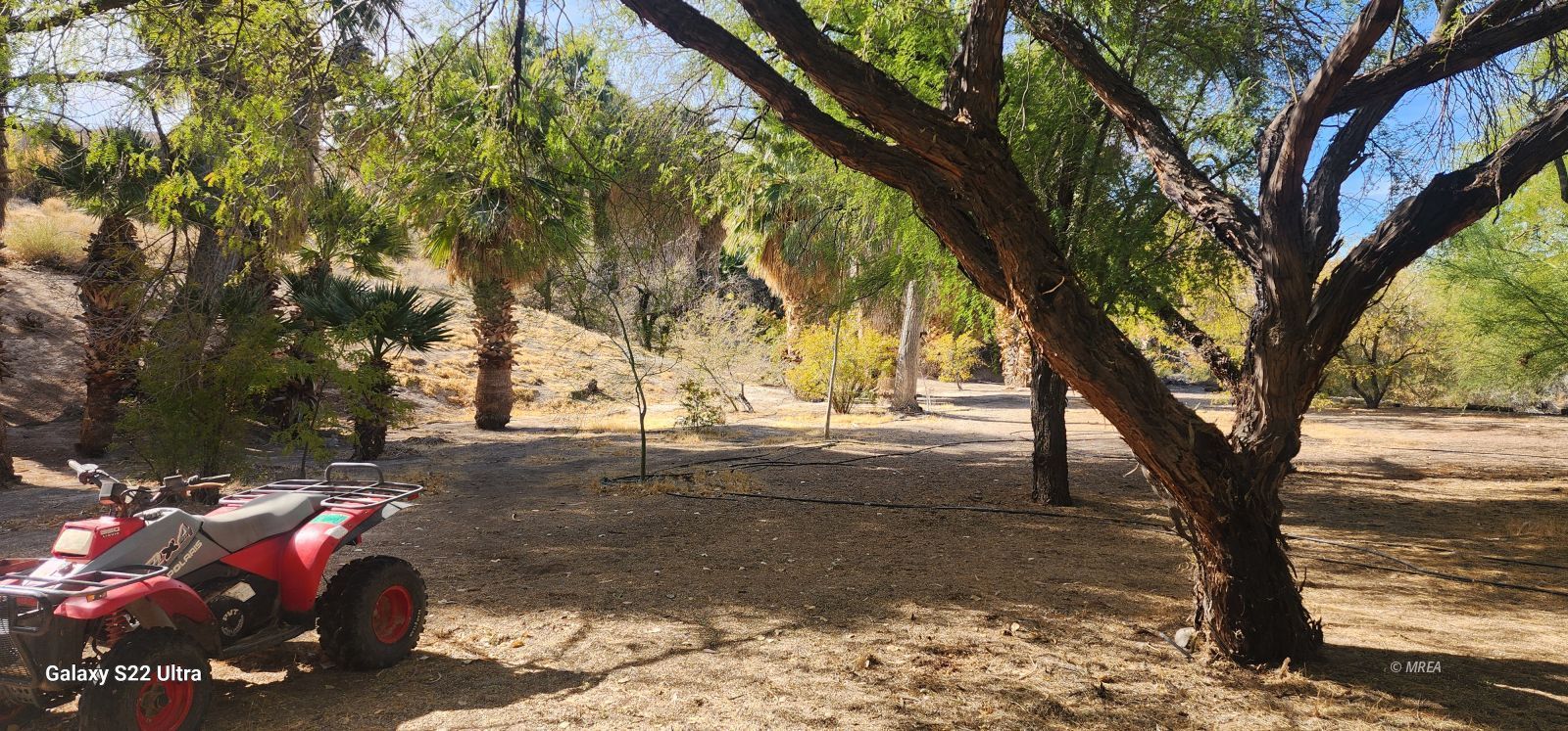 4855`  Gold Butte Rd