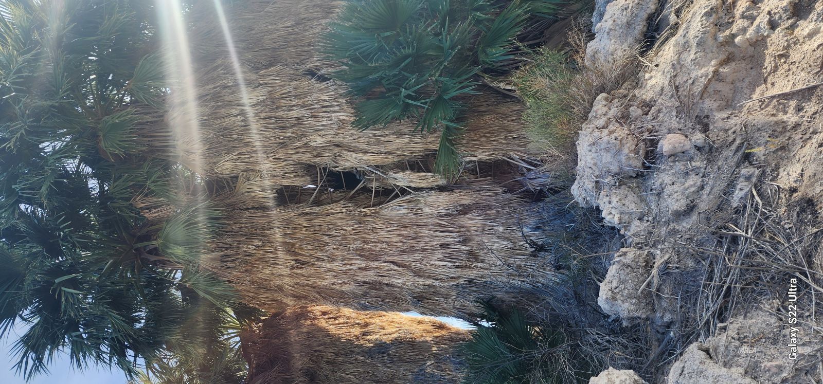 4855`  Gold Butte Rd