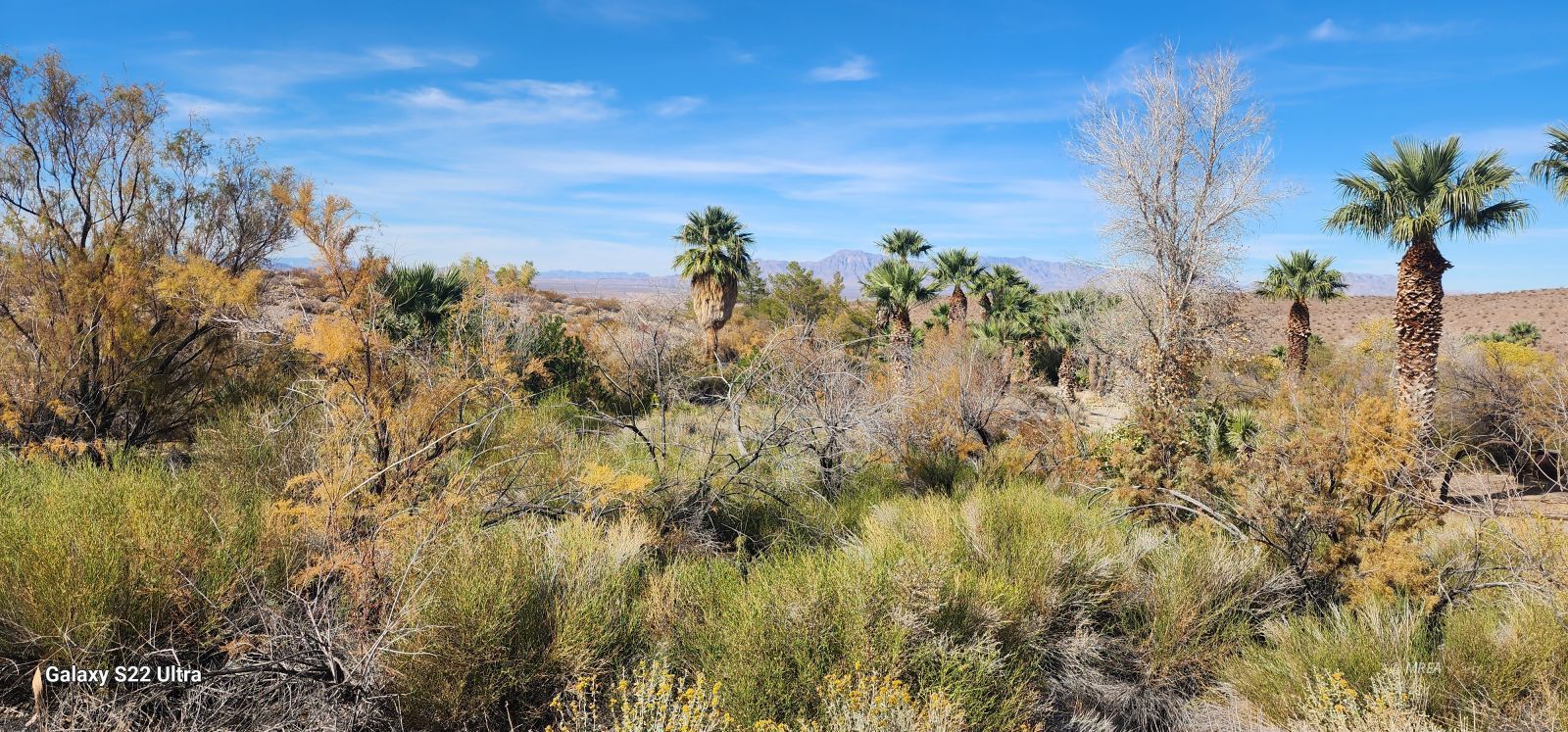 4855`  Gold Butte Rd