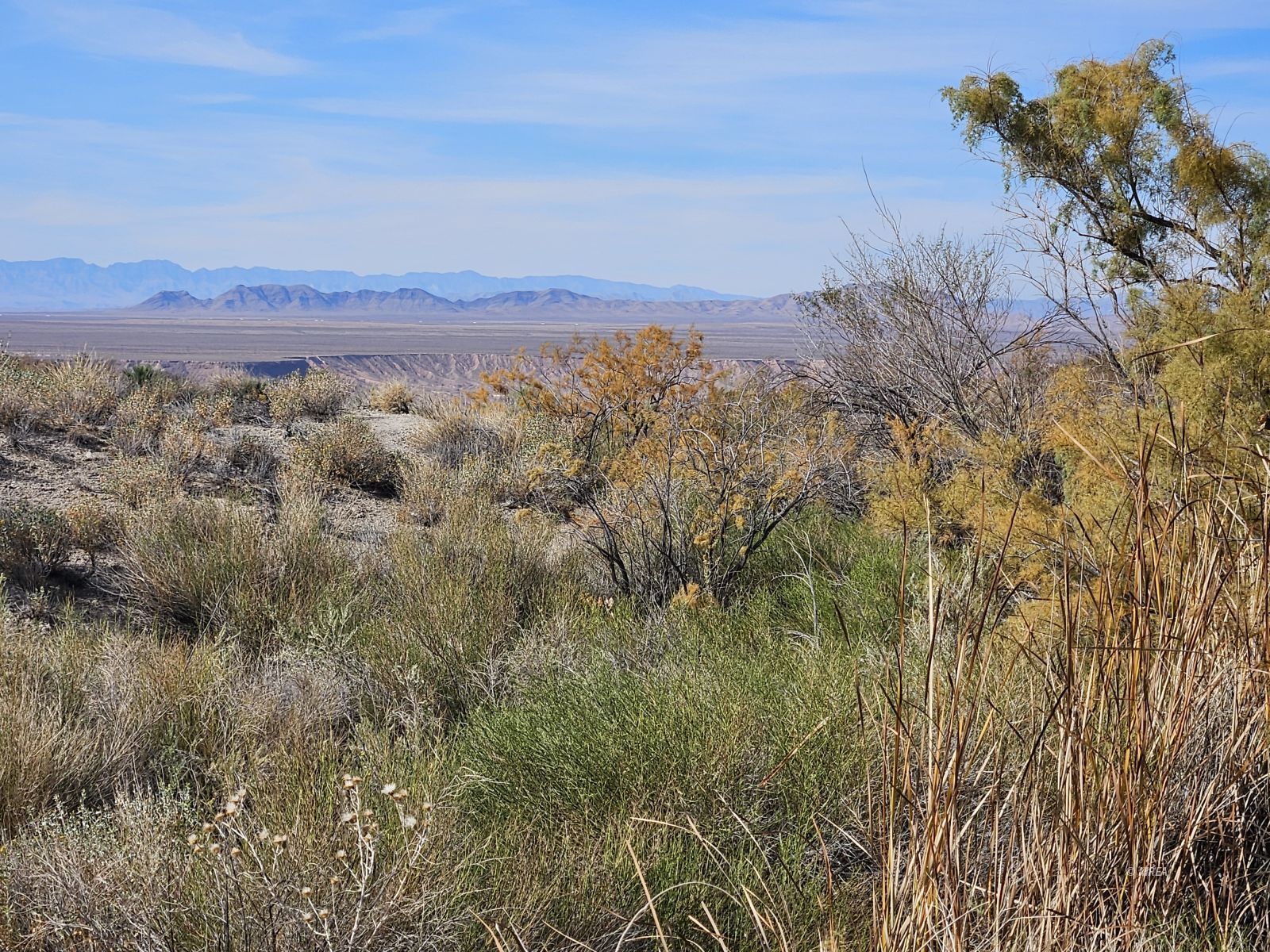 4855`  Gold Butte Rd