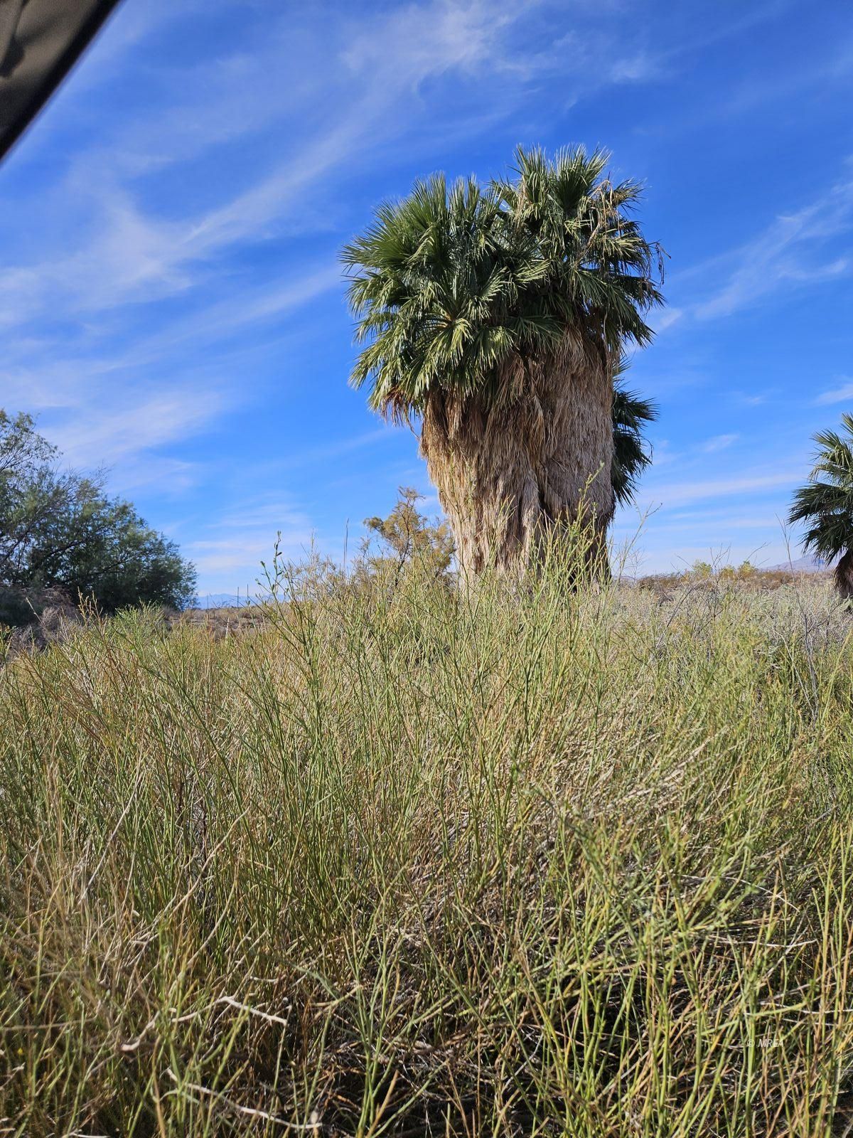 4855`  Gold Butte Rd