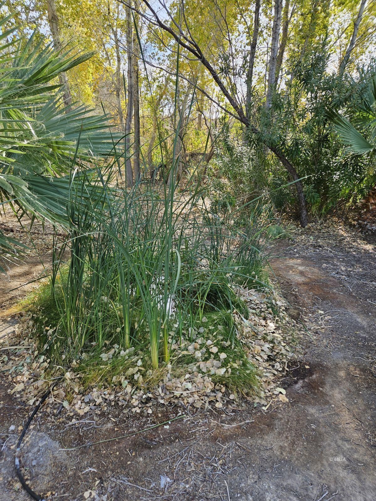 4855`  Gold Butte Rd