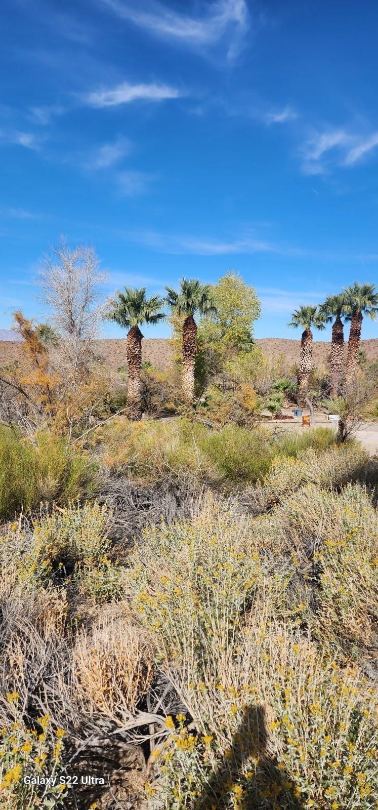 4855`  Gold Butte Rd