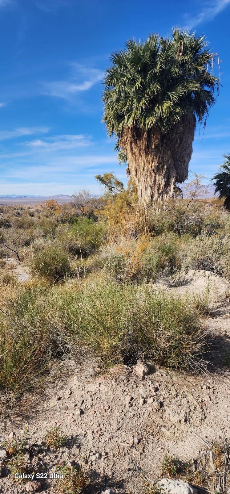 4855`  Gold Butte Rd