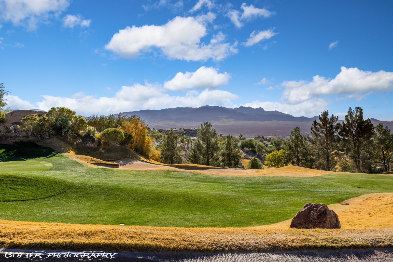 1111  Falcon Nest Ct