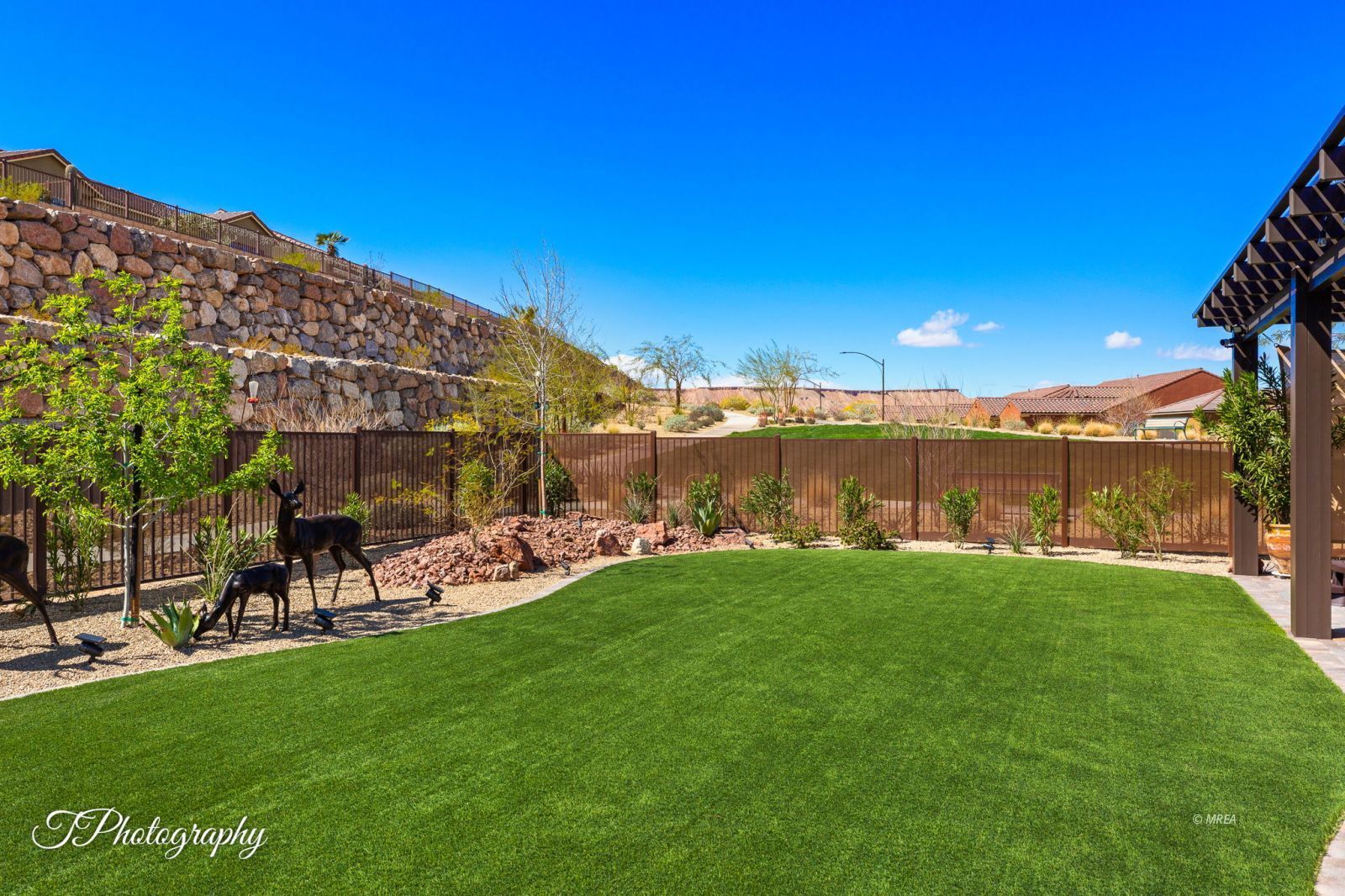 1155  Dreamcatcher Blf 