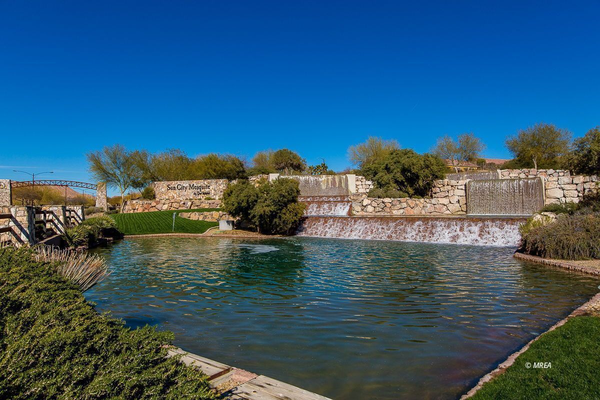 1155  Dreamcatcher Blf 