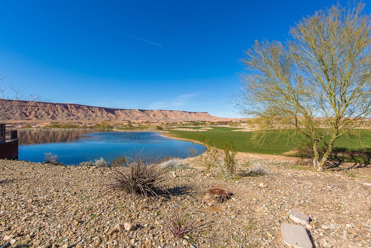 1155  Dreamcatcher Blf 