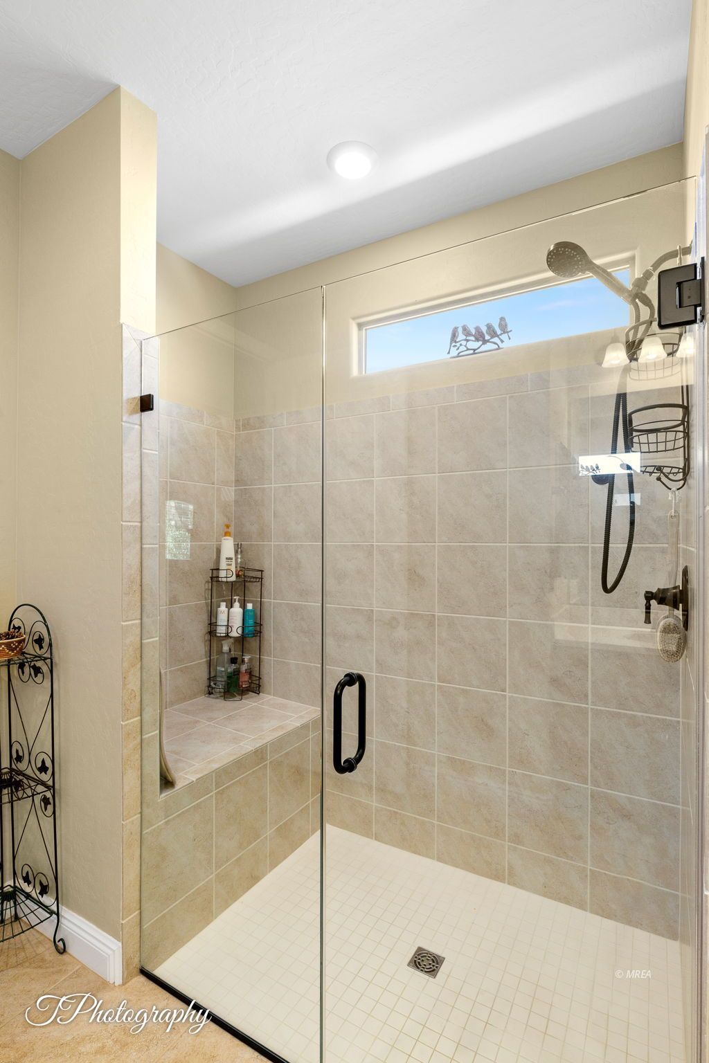 1155  Dreamcatcher Blf 