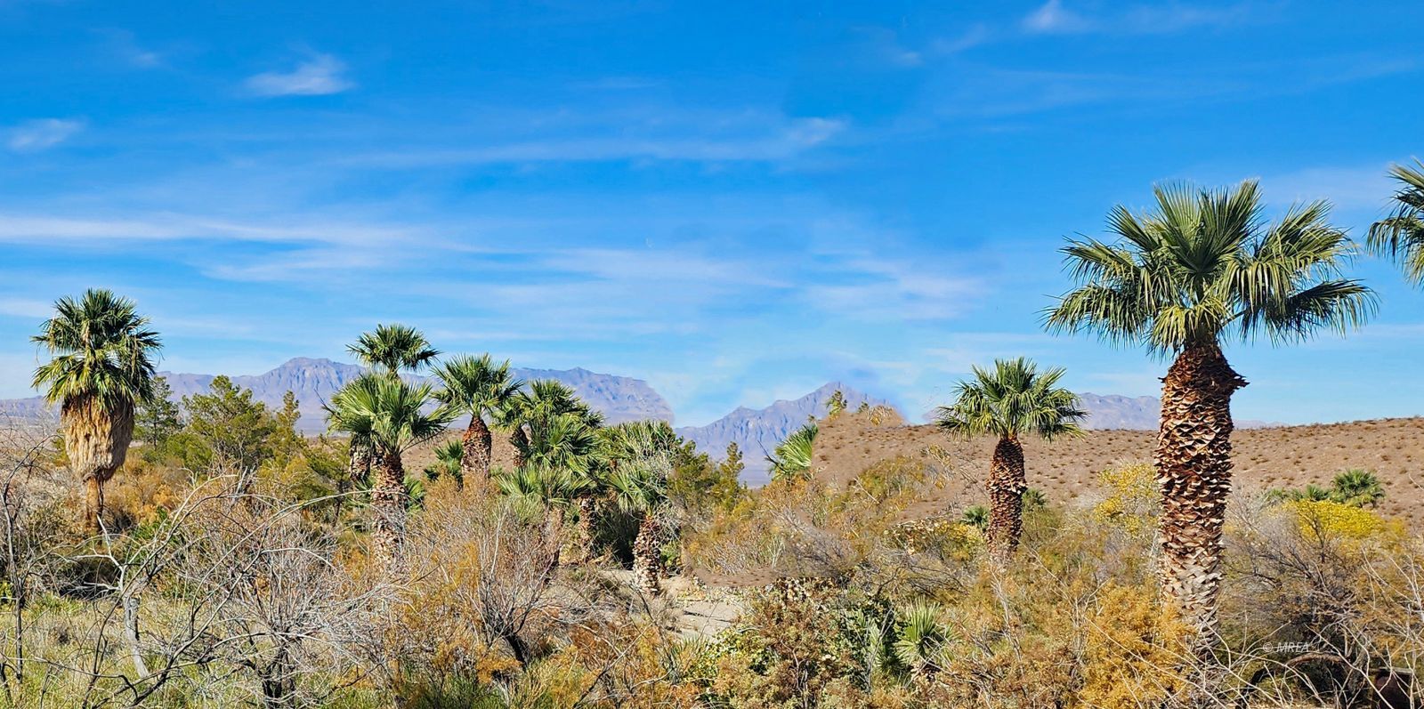 4855`  Gold Butte Rd