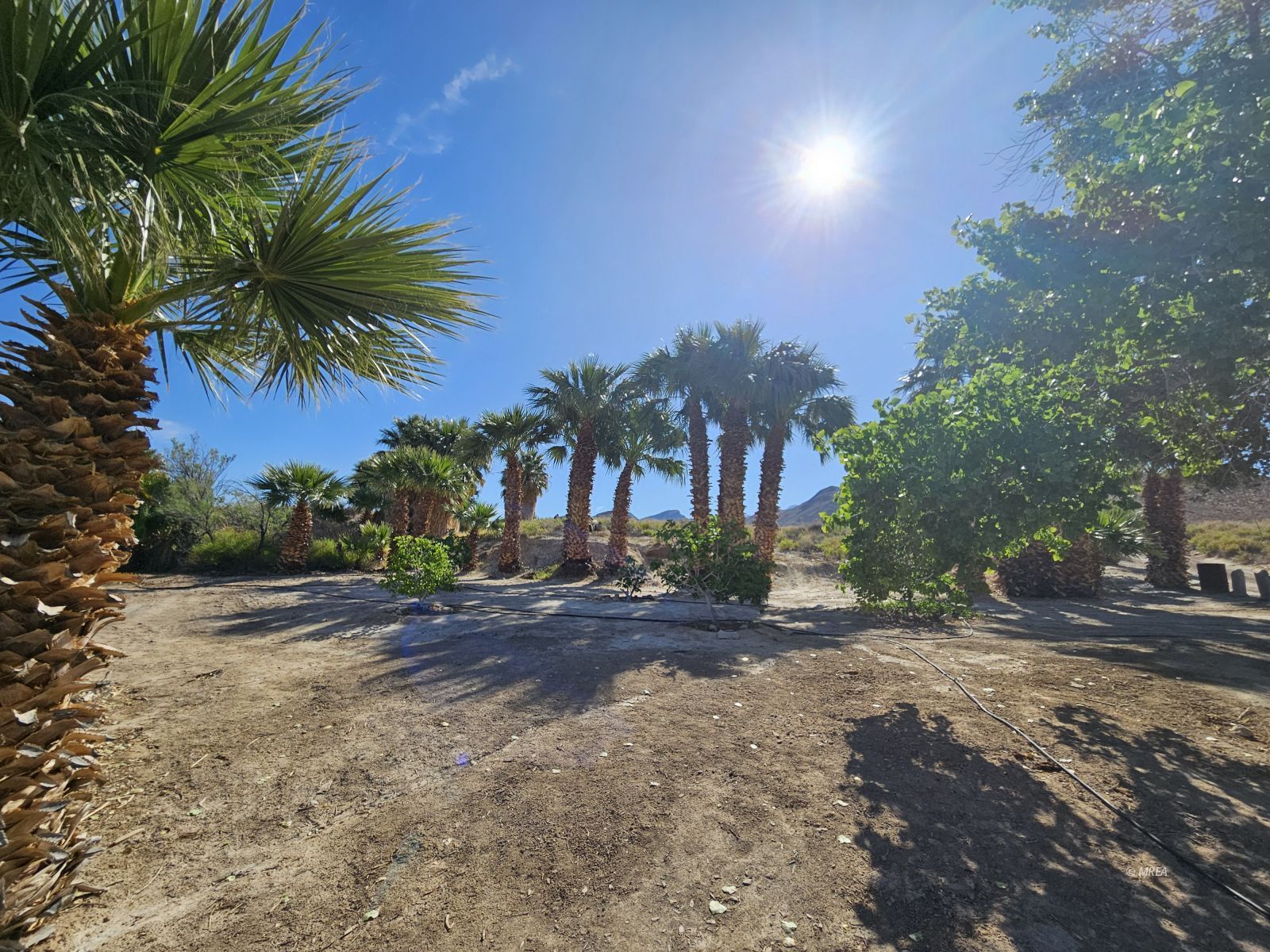 4855` Gold Butte Rd, Bunkerville NV 89007