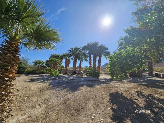 4855` Rd ,Bunkerville NV 89007