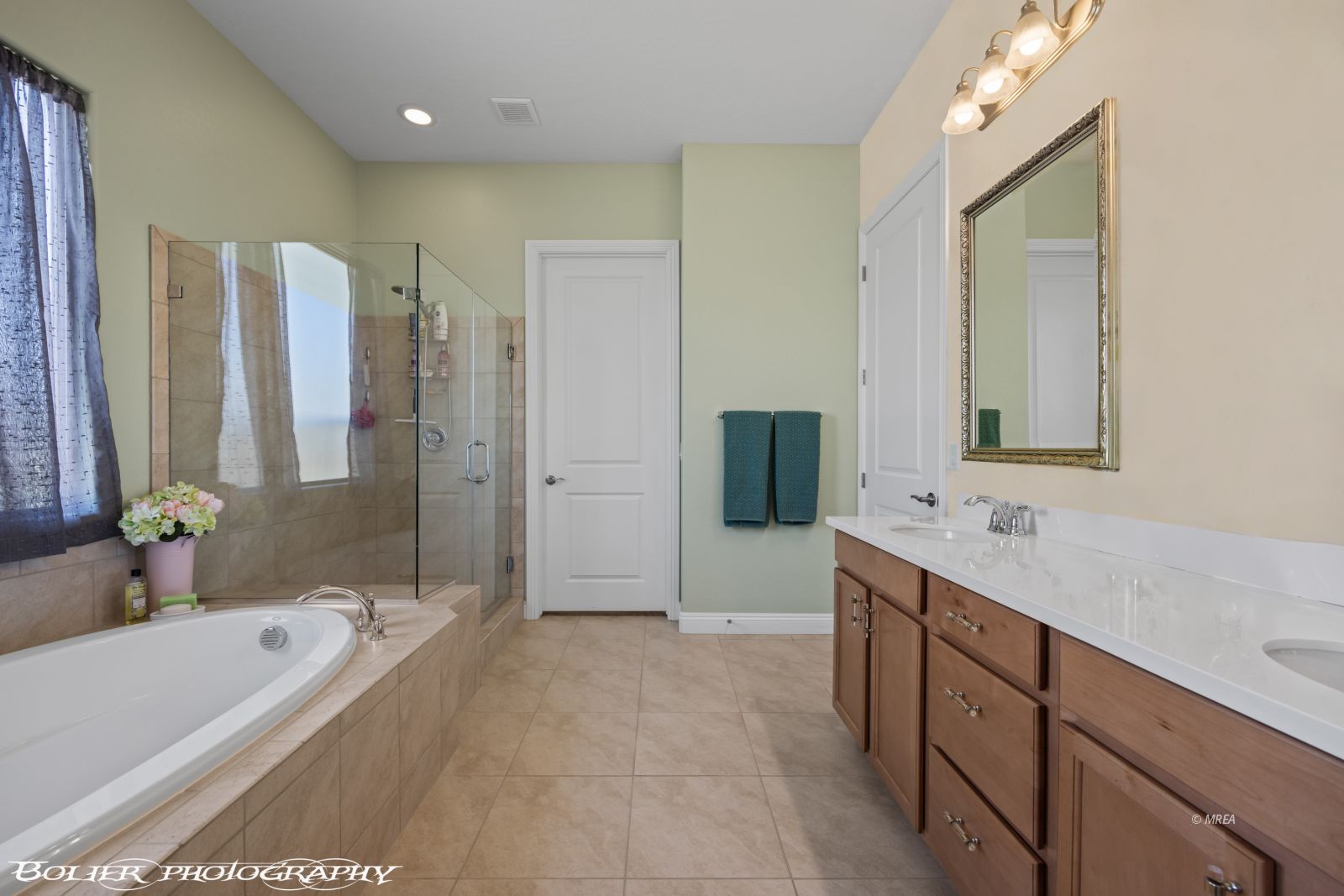 1143  Tortoise Mountain Dr