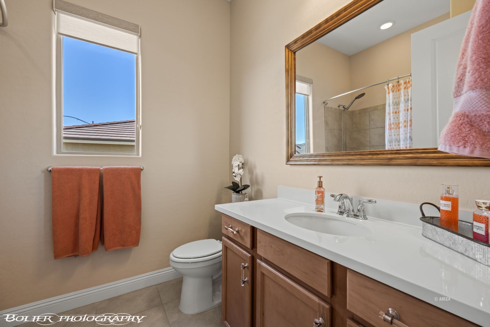 1143  Tortoise Mountain Dr