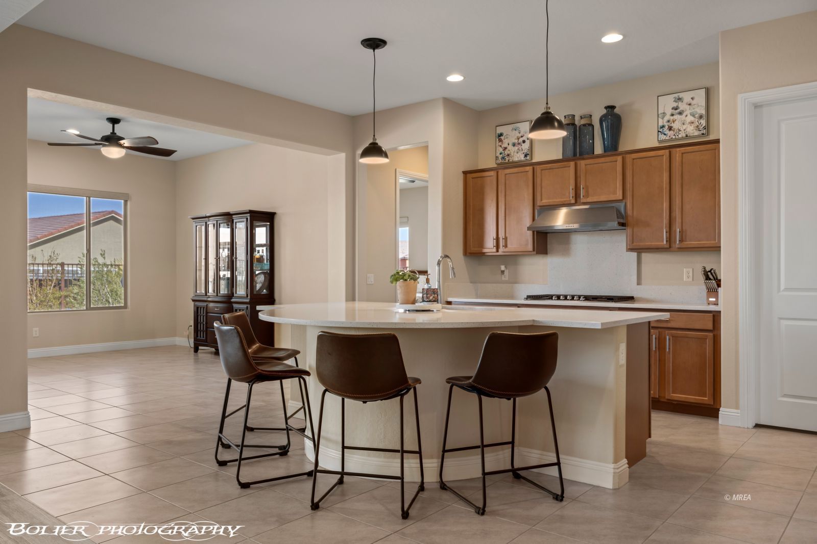 1143  Tortoise Mountain Dr