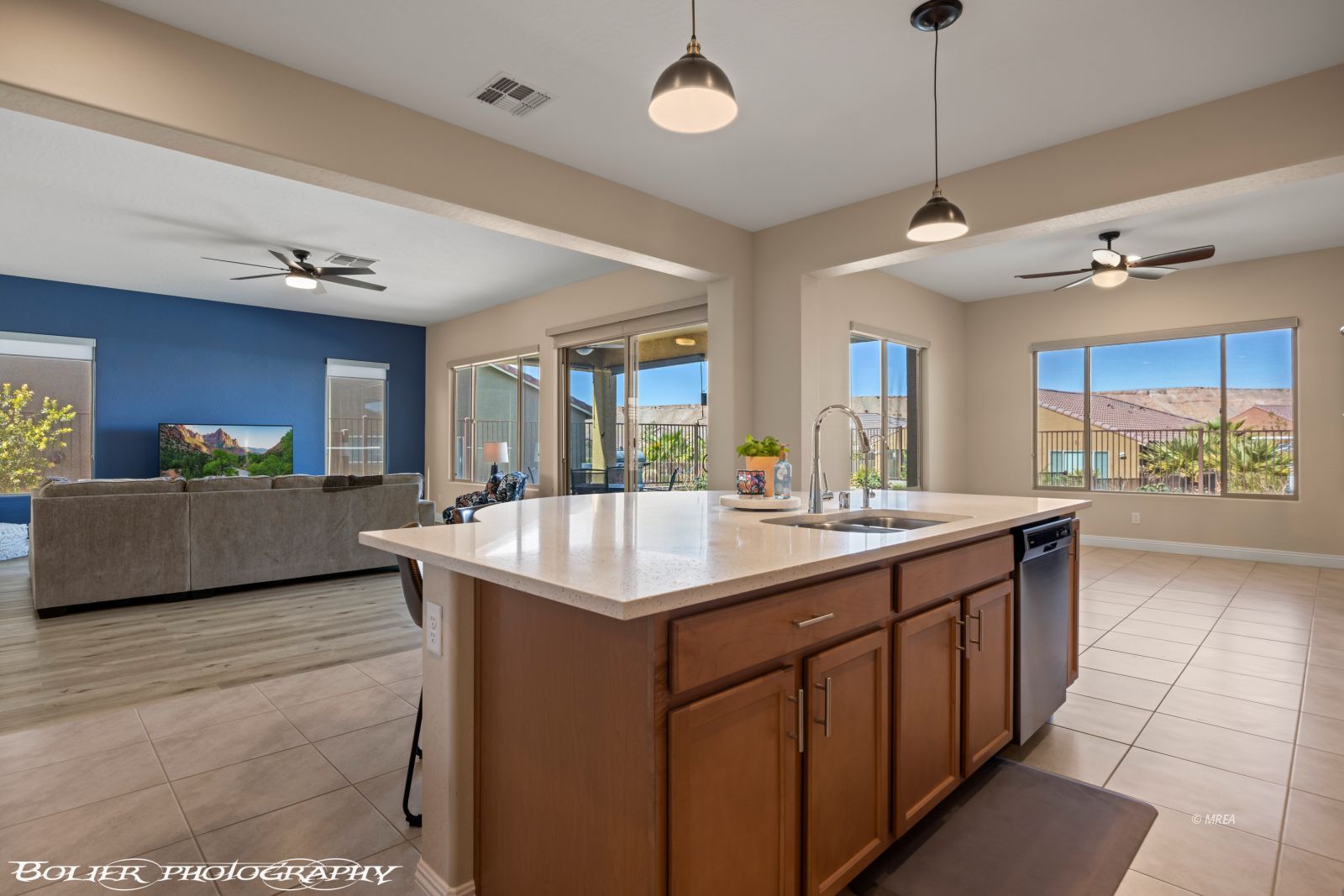 1143  Tortoise Mountain Dr