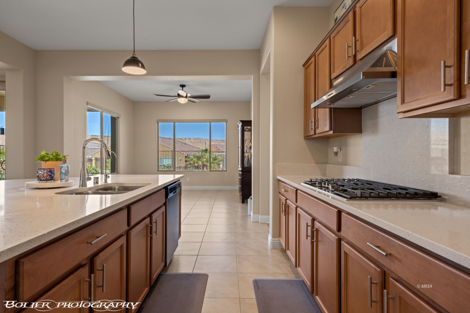 1143  Tortoise Mountain Dr