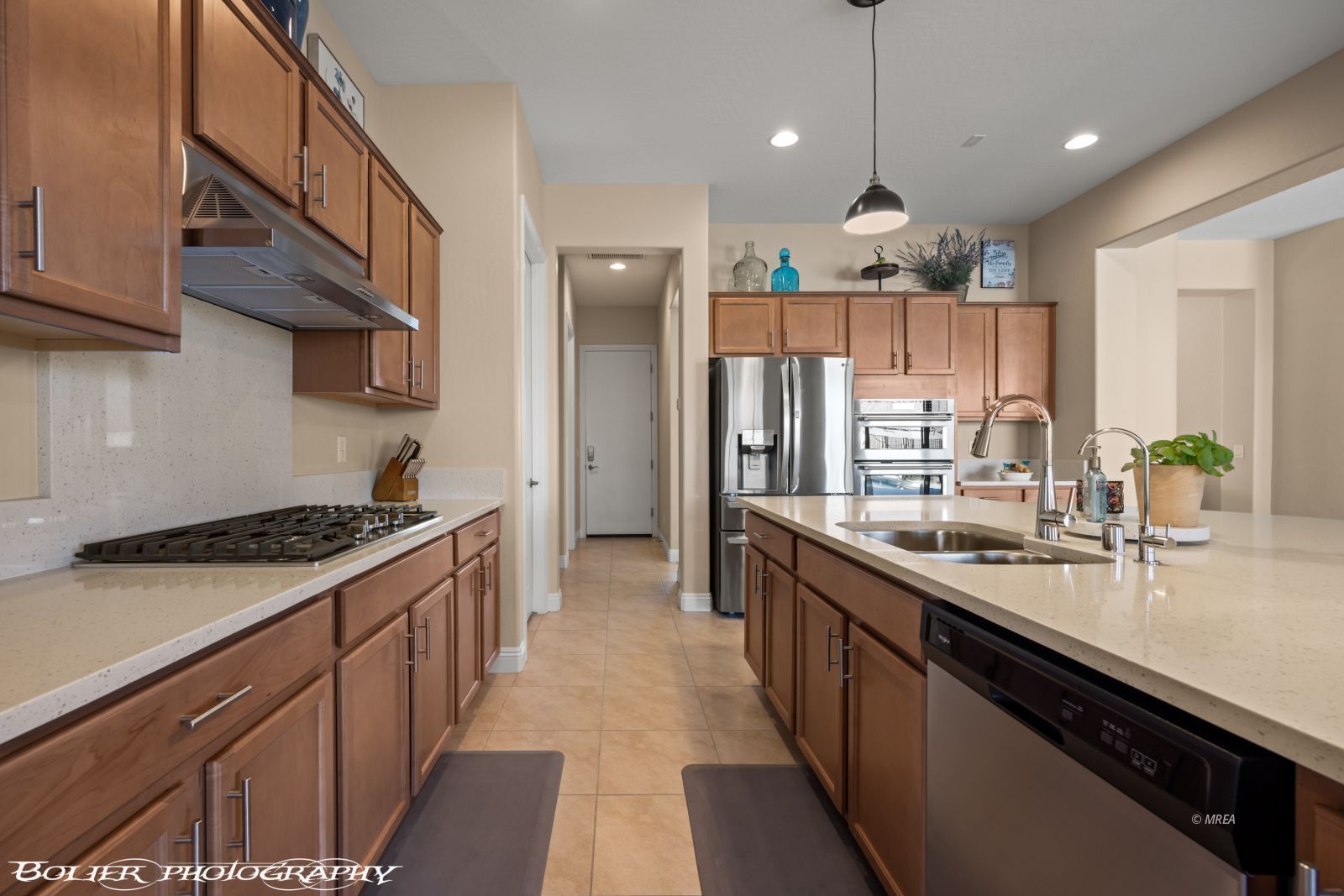 1143  Tortoise Mountain Dr