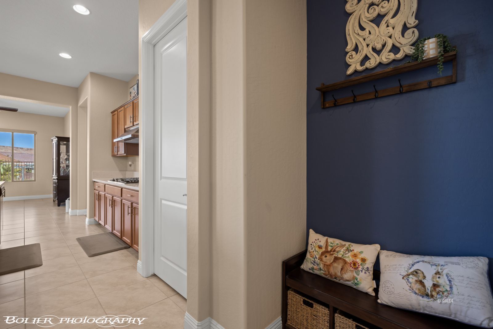 1143  Tortoise Mountain Dr