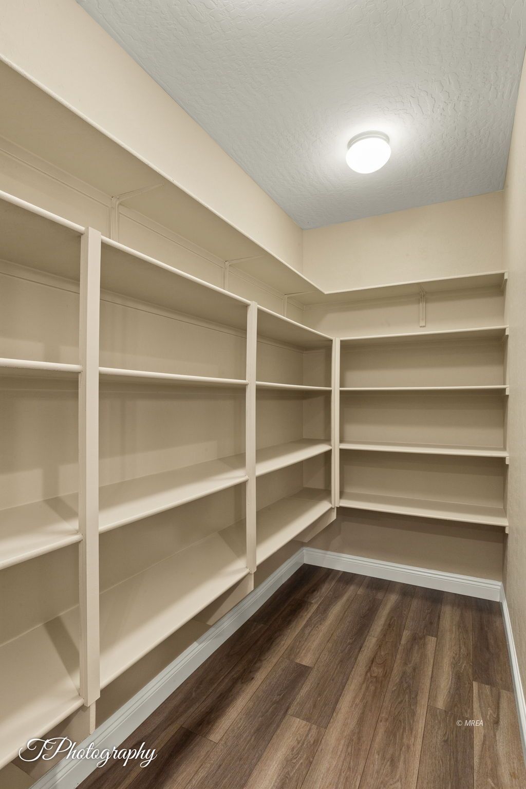 1155  Dreamcatcher Blf 