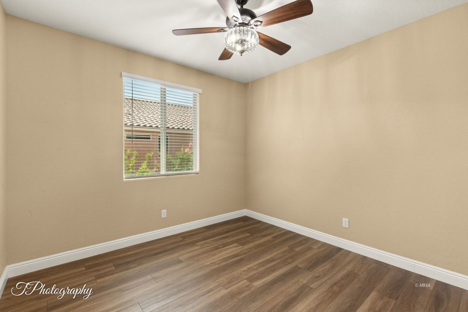 1155  Dreamcatcher Blf 