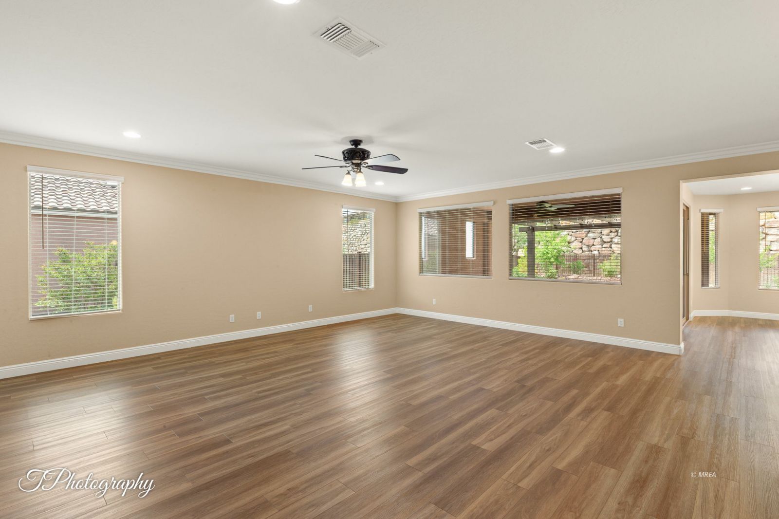 1155  Dreamcatcher Blf 