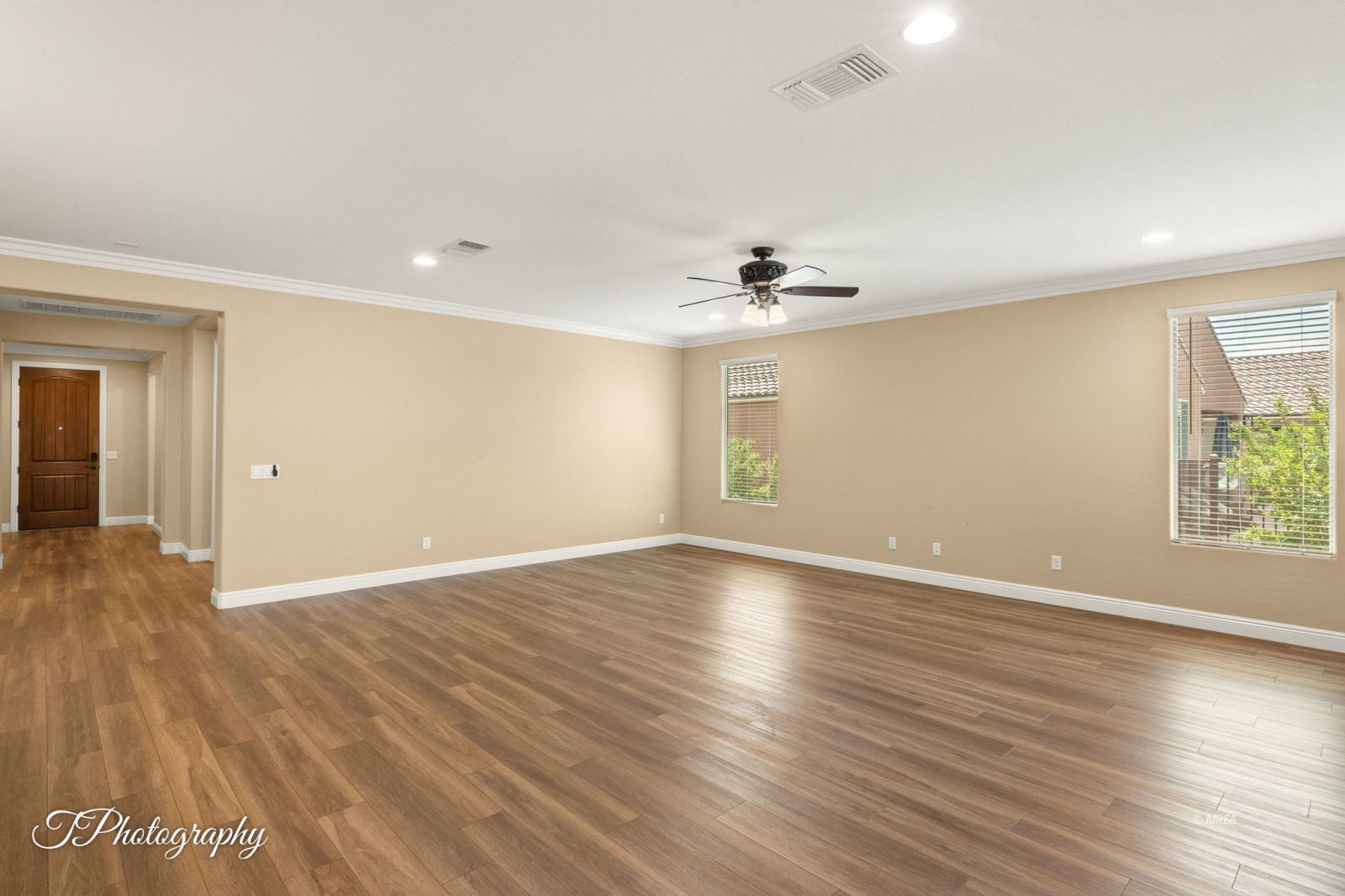 1155  Dreamcatcher Blf 