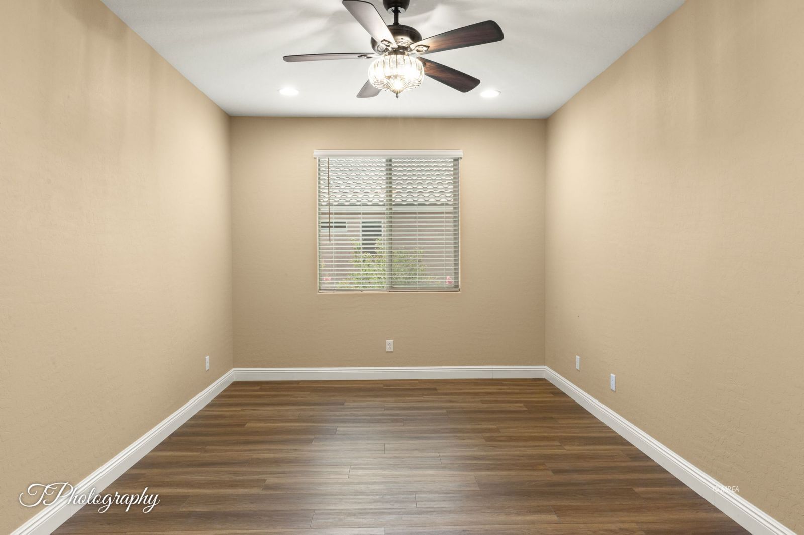 1155  Dreamcatcher Blf 