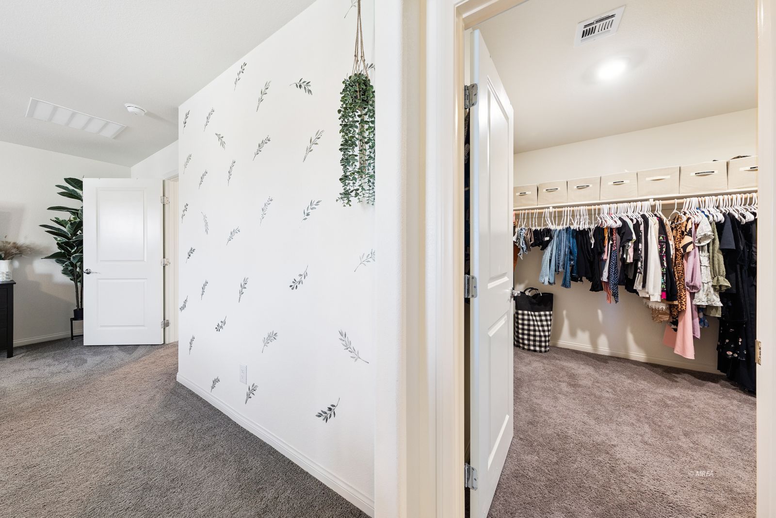 1885  Vass Springs Place