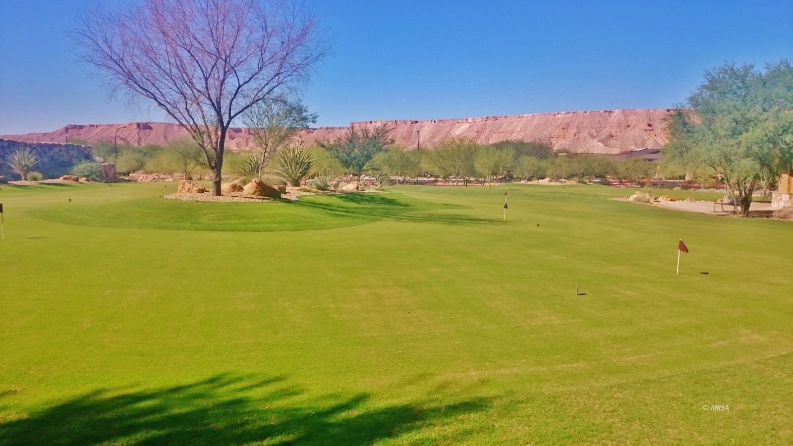 895  Wranglers Ridge 