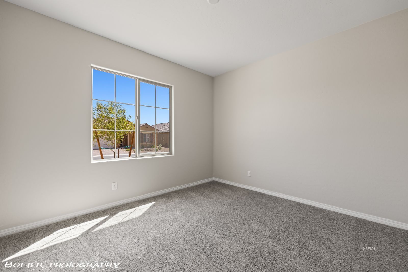 1439  Downy Peak Canyon 