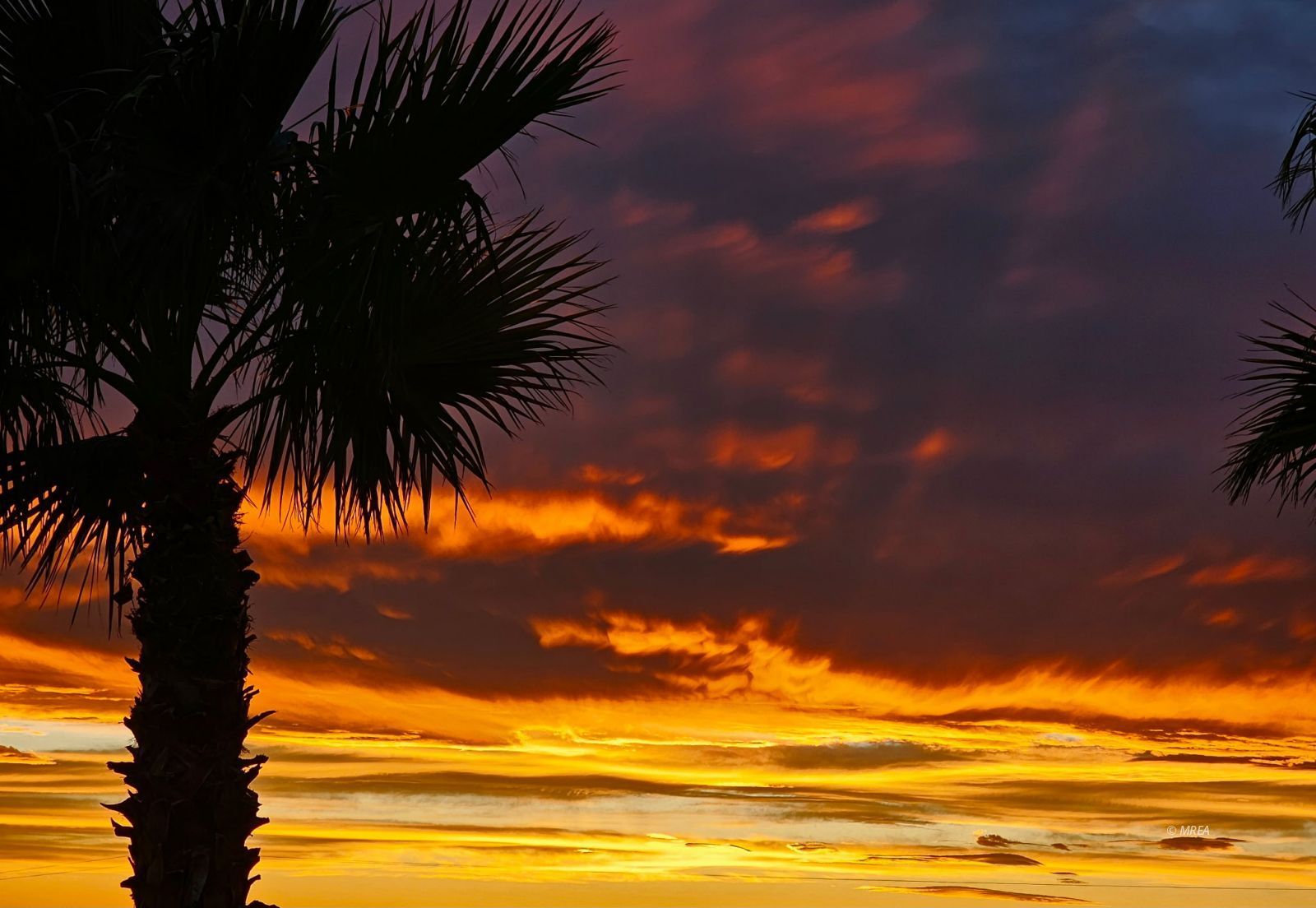 510  Turtleback Rd #24A