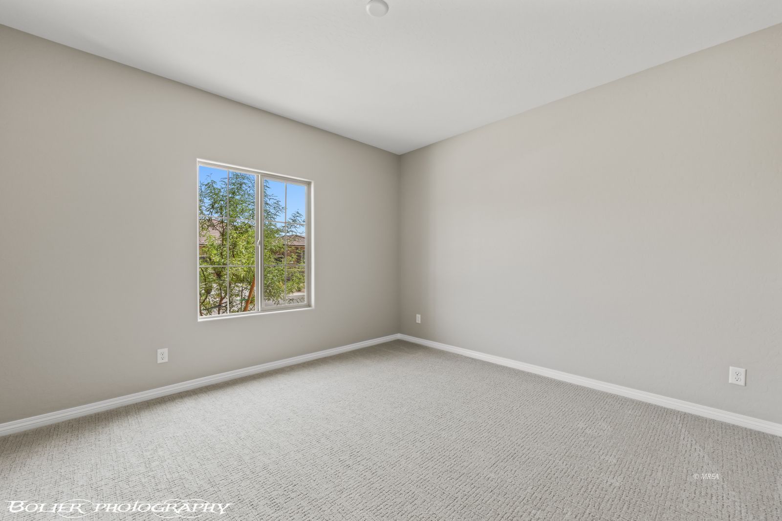 1445  Downy Peak Canyon 