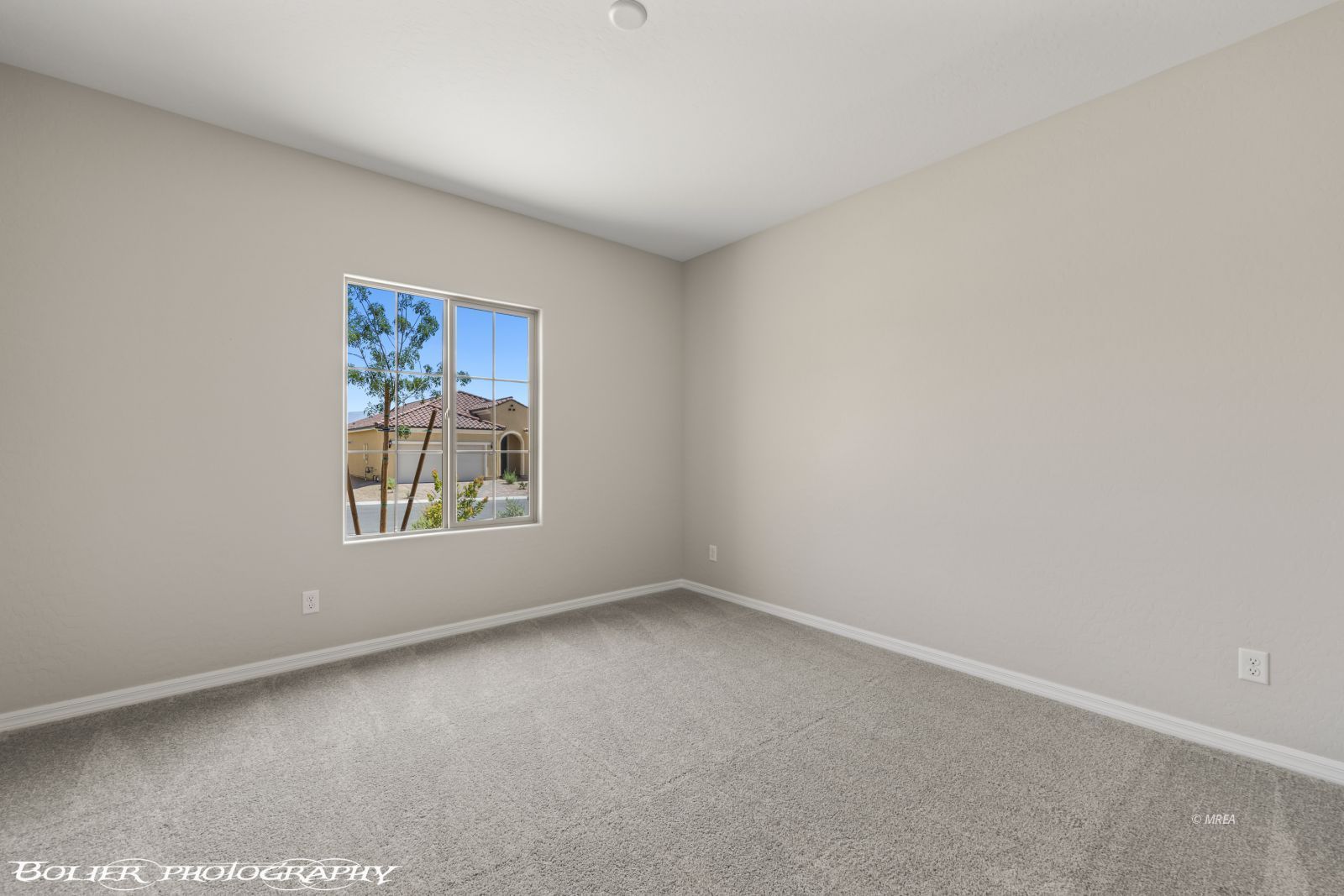 1451  Downy Peak Canyon 