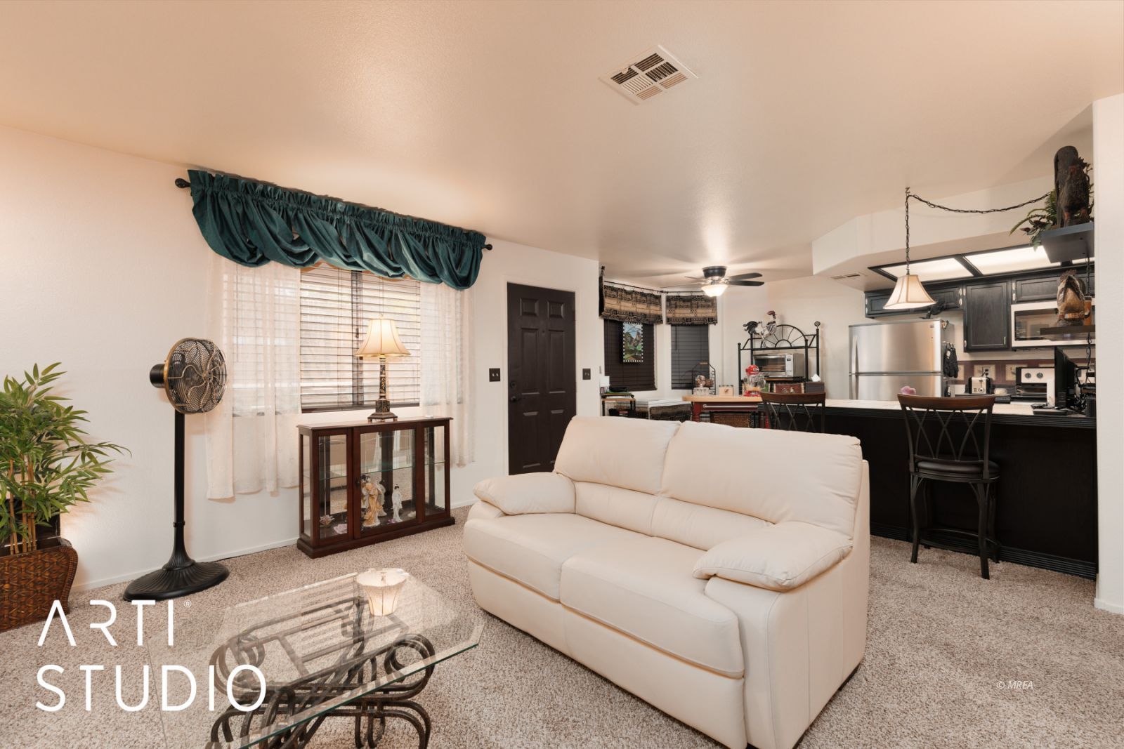 882  Mesquite Springs Dr #101