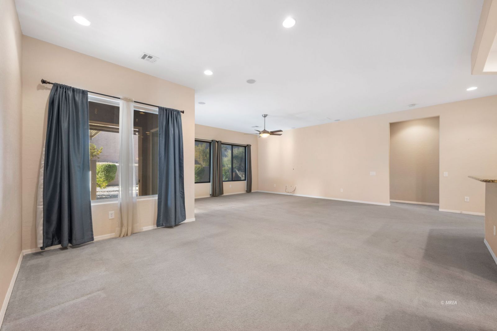 1155  Dry Falls Bnd Ln