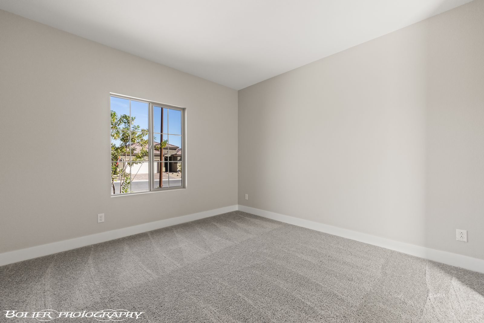 1469  Downy Peak Canyon 