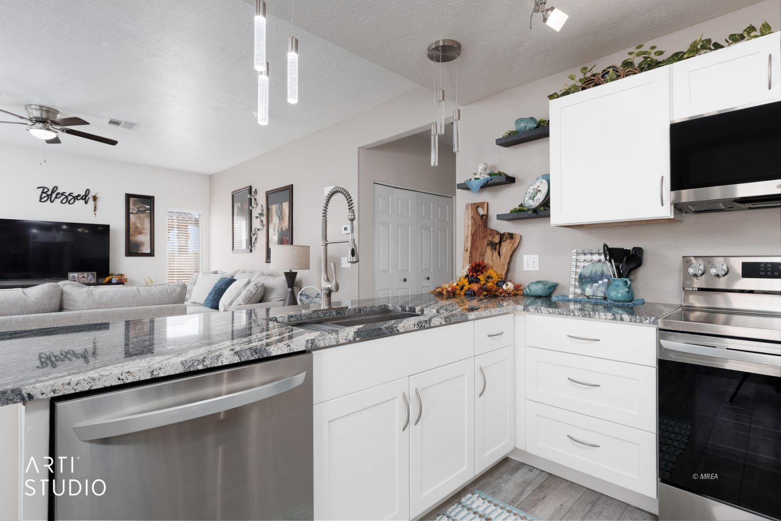 517 W Mesquite Blvd #1223