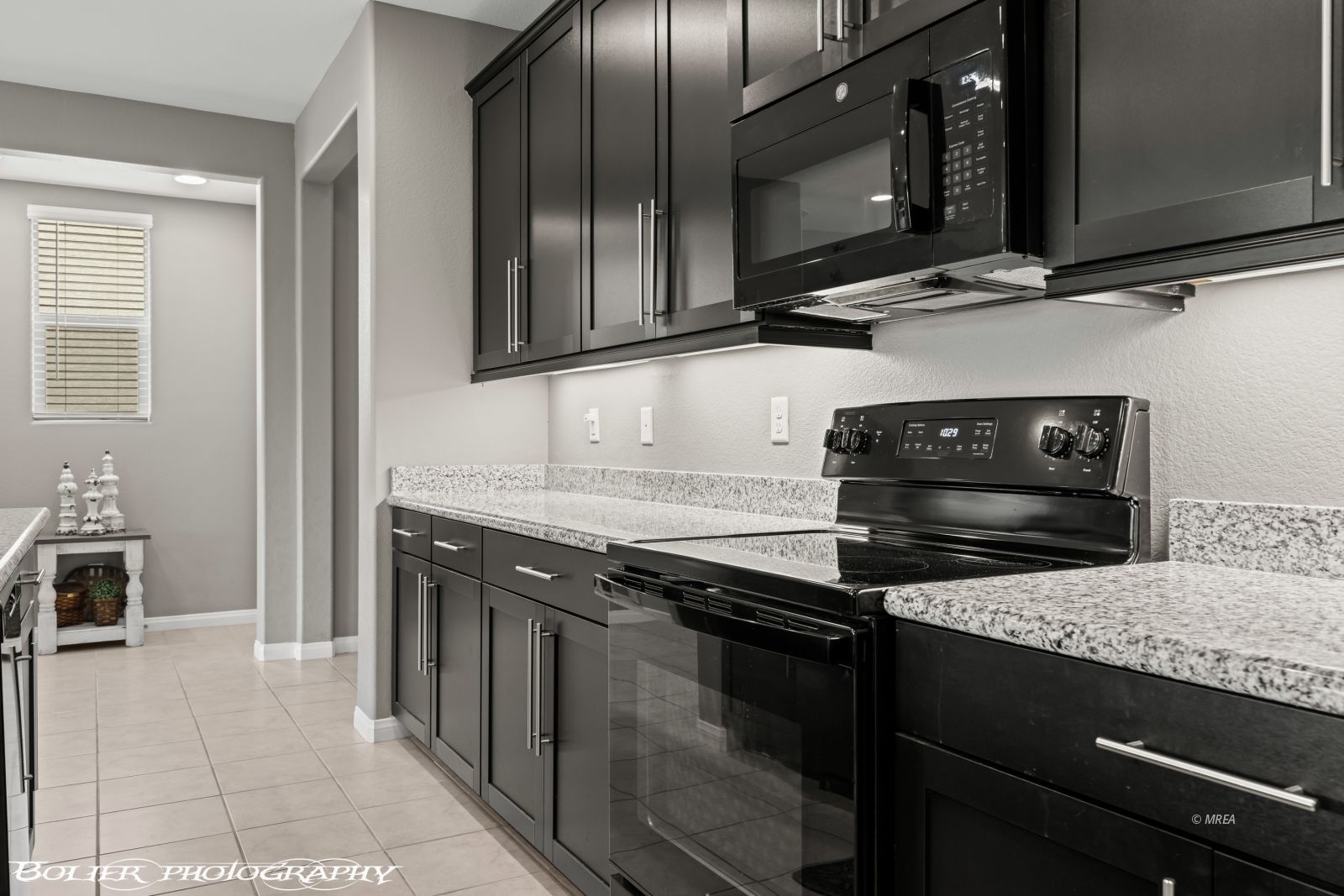 102  Parliament  Cyn 