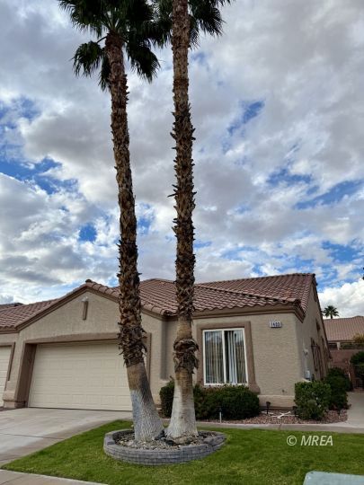 1403 Dr ,Mesquite NV 89027