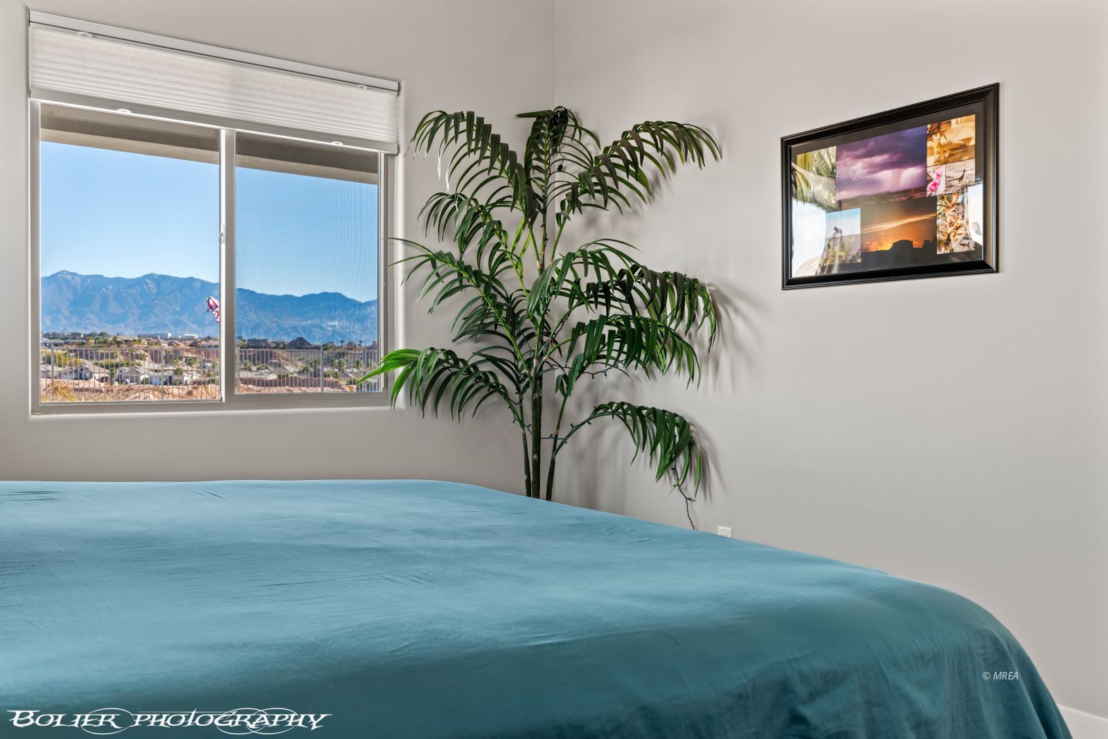 1472  Blue Ridge Trail 