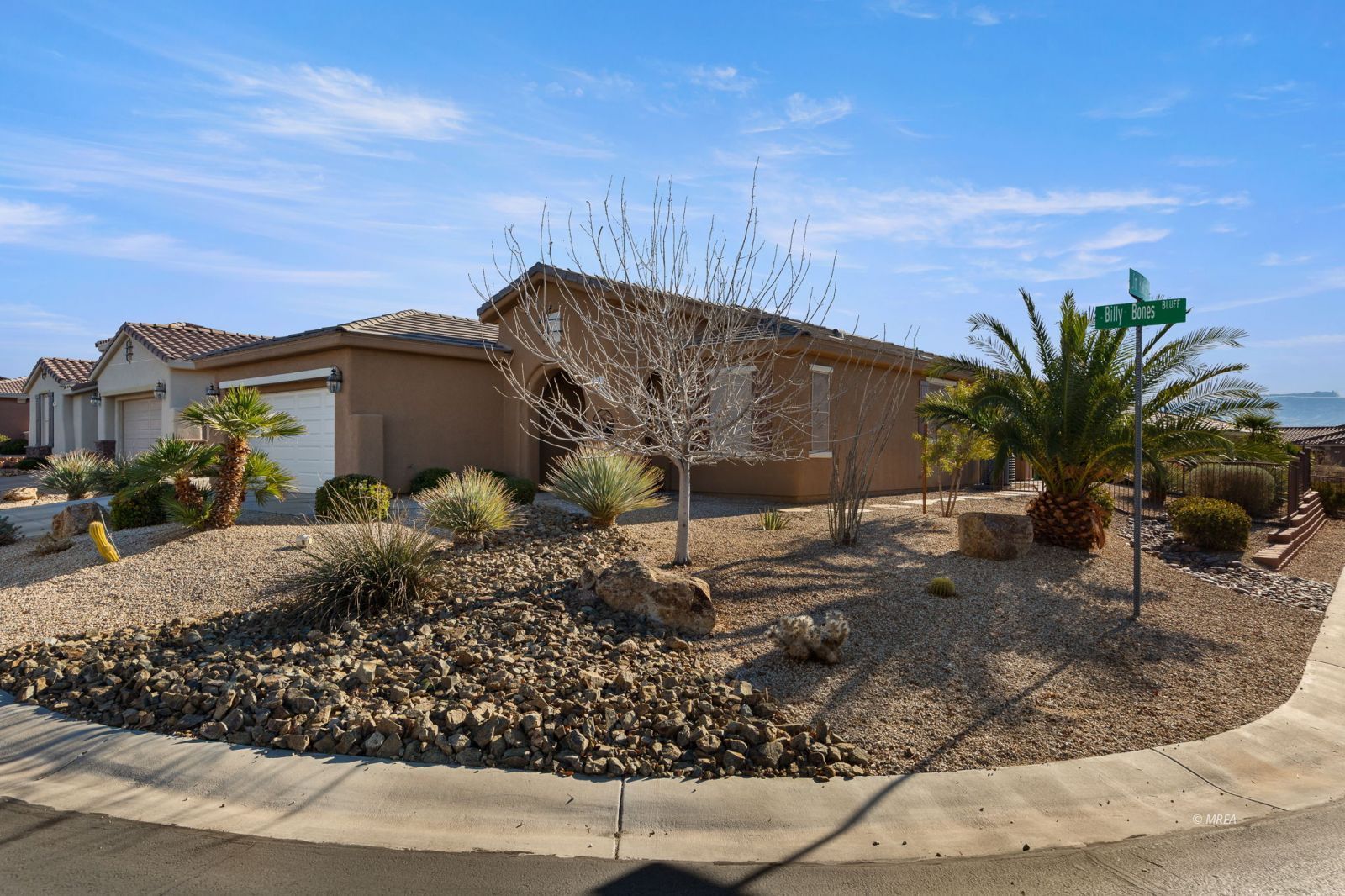 198  Billy Bones Blf 