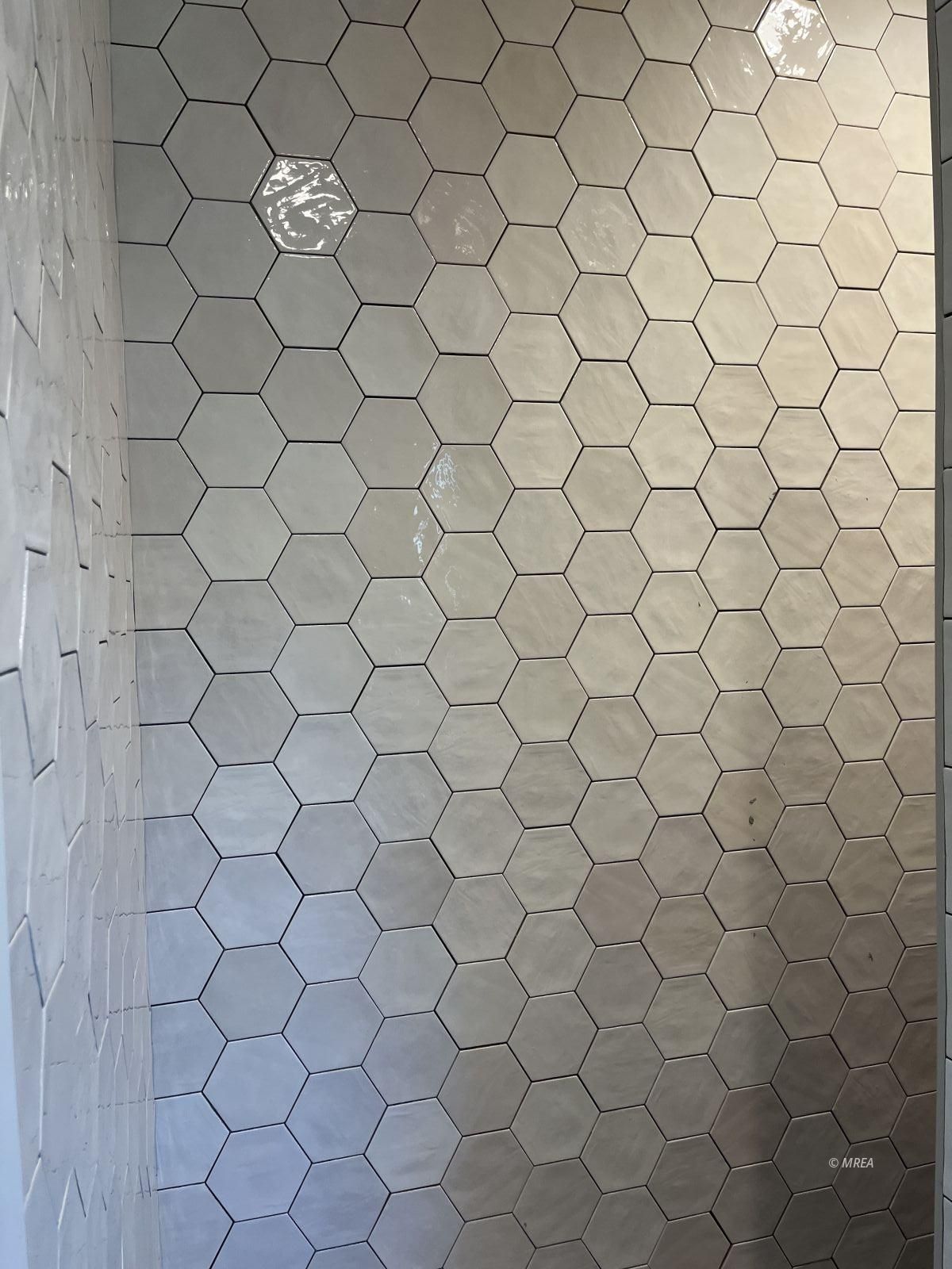 1558  Pomegranate Trl 