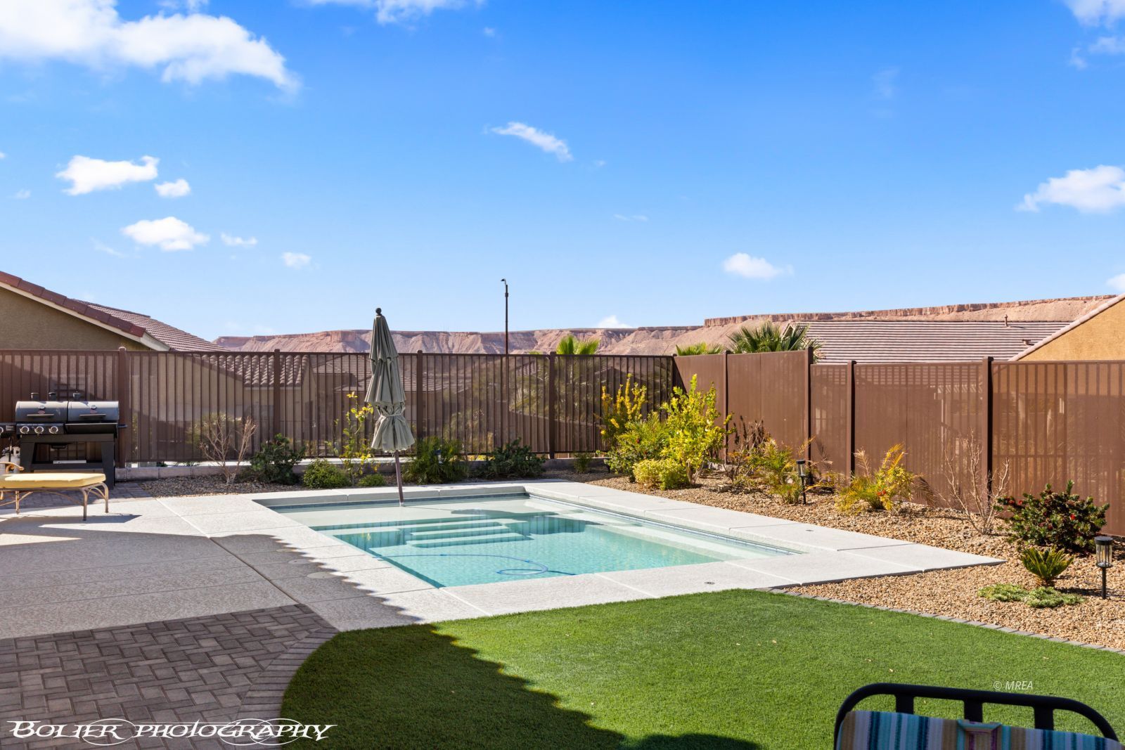 1143  Tortoise Mountain Dr