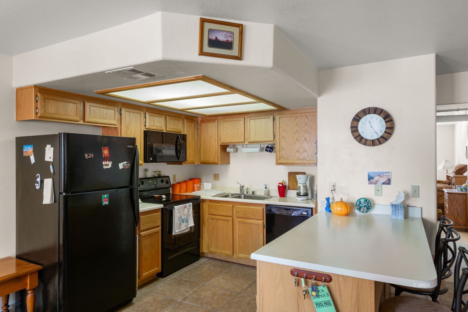 913  Mesquite Springs  #101