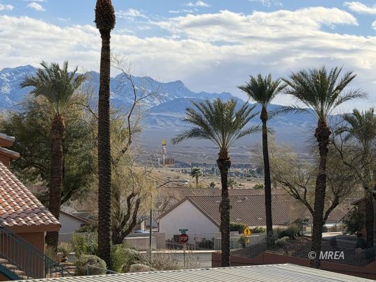 834 Dr 201,Mesquite NV 89027