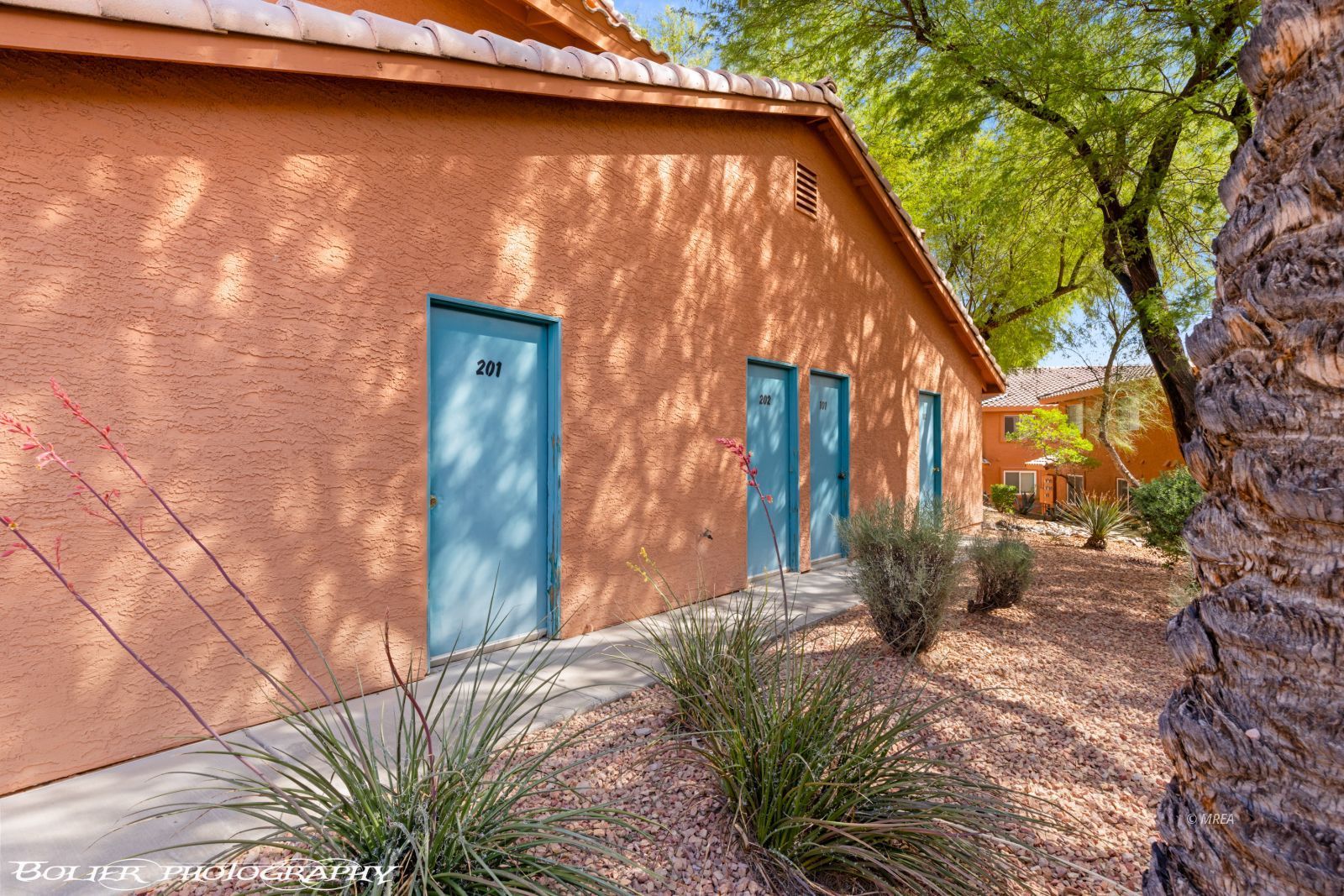 843  Mesquite Springs  #101
