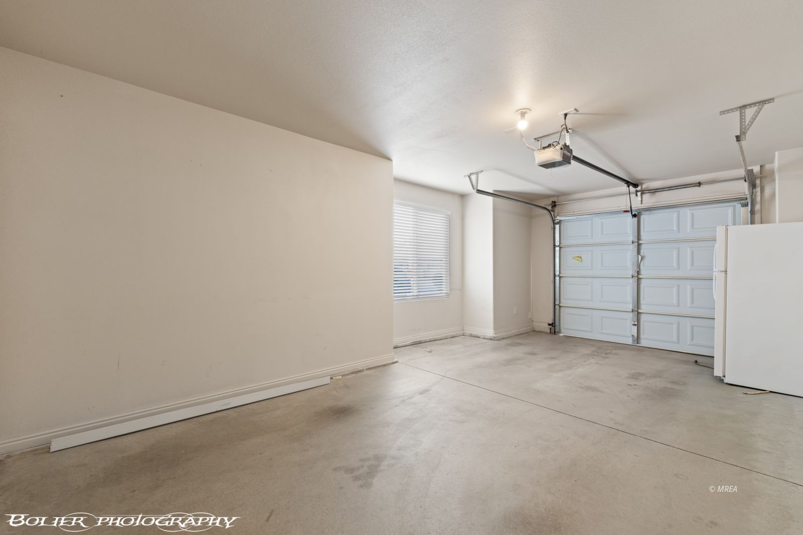 156  Desert Willow  #B