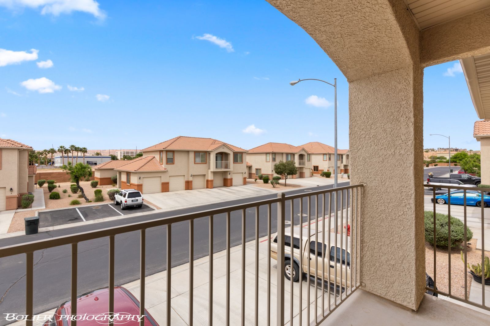 156  Desert Willow  #B