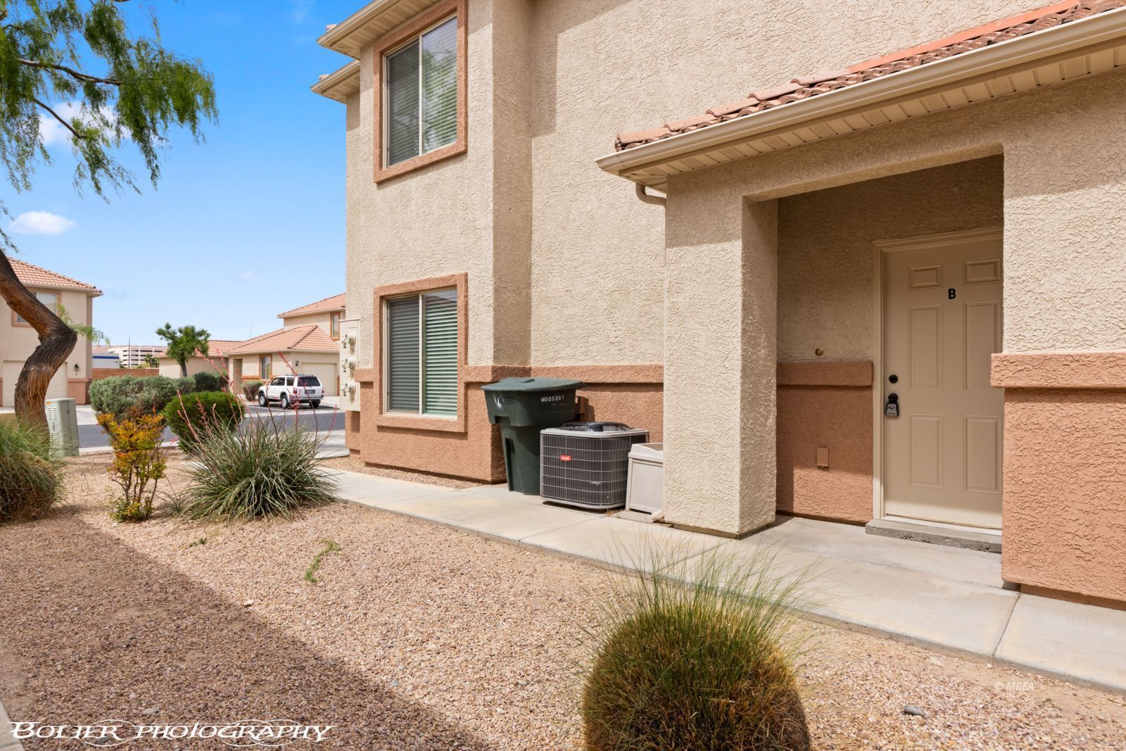156  Desert Willow  #B